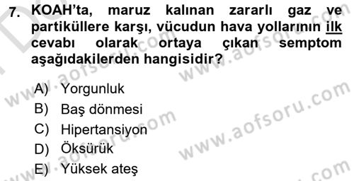 Yaşlılarda Görülebilecek Sorunlar Ve Bakım Hizmetleri Dersi 2021 - 2022 Yılı (Final) Dönem Sonu Sınav Soruları 7. Soru