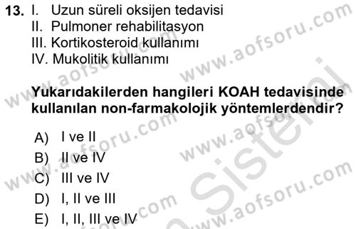 Yaşlılarda Görülebilecek Sorunlar Ve Bakım Hizmetleri Dersi 2021 - 2022 Yılı Yaz Okulu Sınav Soruları 13. Soru