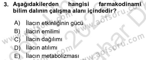 Yaşlılarda Görülebilecek Sorunlar Ve Bakım Hizmetleri Dersi 2023 - 2024 Yılı (Vize) Ara Sınav Soruları 3. Soru