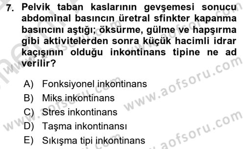 Yaşlılarda Görülebilecek Sorunlar Ve Bakım Hizmetleri Dersi 2023 - 2024 Yılı (Vize) Ara Sınavı 7. Soru