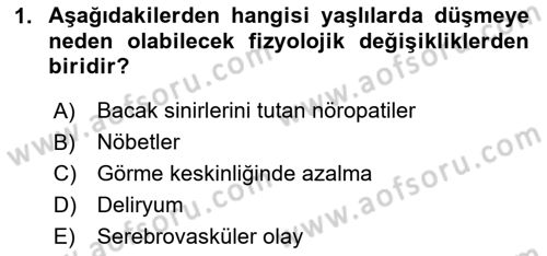 Yaşlılarda Görülebilecek Sorunlar Ve Bakım Hizmetleri Dersi 2023 - 2024 Yılı (Final) Dönem Sonu Sınav Soruları 1. Soru