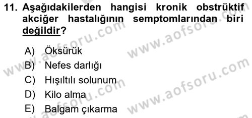 Yaşlılarda Görülebilecek Sorunlar Ve Bakım Hizmetleri Dersi 2023 - 2024 Yılı (Final) Dönem Sonu Sınav Soruları 11. Soru