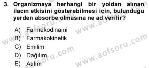 Yaşlılarda Görülebilecek Sorunlar Ve Bakım Hizmetleri Dersi 2023 - 2024 Yılı (Final) Dönem Sonu Sınav Soruları 3. Soru