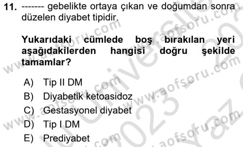 Yaşlılarda Görülebilecek Sorunlar Ve Bakım Hizmetleri Dersi 2023 - 2024 Yılı Yaz Okulu Sınav Soruları 11. Soru