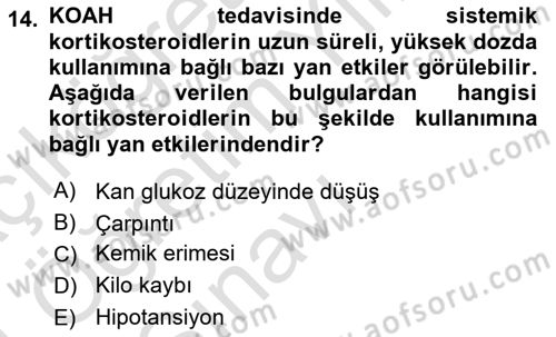 Yaşlılarda Görülebilecek Sorunlar Ve Bakım Hizmetleri Dersi 2023 - 2024 Yılı Yaz Okulu Sınav Soruları 14. Soru