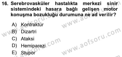 Yaşlılarda Görülebilecek Sorunlar Ve Bakım Hizmetleri Dersi 2023 - 2024 Yılı Yaz Okulu Sınav Soruları 16. Soru