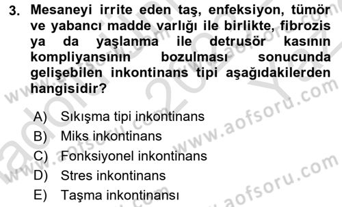 Yaşlılarda Görülebilecek Sorunlar Ve Bakım Hizmetleri Dersi 2023 - 2024 Yılı Yaz Okulu Sınav Soruları 3. Soru