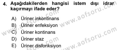 Yaşlılarda Görülebilecek Sorunlar Ve Bakım Hizmetleri Dersi 2023 - 2024 Yılı Yaz Okulu Sınav Soruları 4. Soru