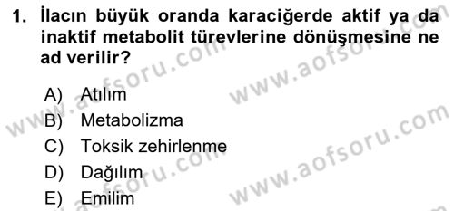 Yaşlılarda Görülebilecek Sorunlar Ve Bakım Hizmetleri Dersi 2025 - 2026 Yılı (Vize) Ara Sınav Soruları 1. Soru