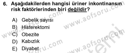 Yaşlılarda Görülebilecek Sorunlar Ve Bakım Hizmetleri Dersi 2025 - 2026 Yılı (Vize) Ara Sınav Soruları 6. Soru