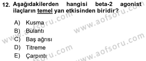 Yaşlılarda Görülebilecek Sorunlar Ve Bakım Hizmetleri Dersi 2025 - 2026 Yılı (Final) Dönem Sonu Sınav Soruları 12. Soru