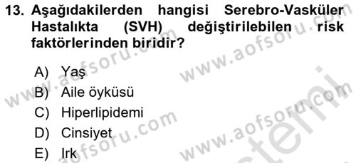 Yaşlılarda Görülebilecek Sorunlar Ve Bakım Hizmetleri Dersi 2025 - 2026 Yılı (Final) Dönem Sonu Sınav Soruları 13. Soru