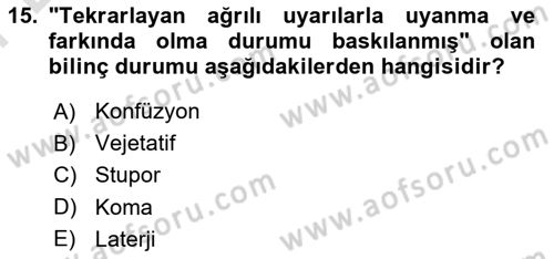 Yaşlılarda Görülebilecek Sorunlar Ve Bakım Hizmetleri Dersi 2025 - 2026 Yılı (Final) Dönem Sonu Sınav Soruları 15. Soru