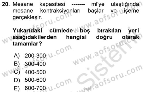 Yaşlılarda Görülebilecek Sorunlar Ve Bakım Hizmetleri Dersi 2025 - 2026 Yılı (Final) Dönem Sonu Sınav Soruları 20. Soru