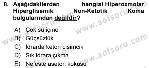 Yaşlılarda Görülebilecek Sorunlar Ve Bakım Hizmetleri Dersi 2025 - 2026 Yılı (Final) Dönem Sonu Sınav Soruları 8. Soru
