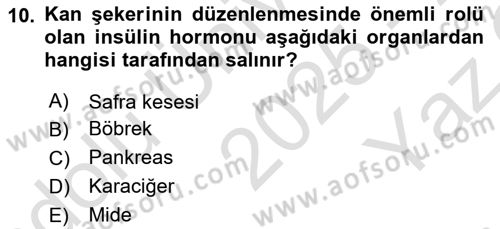 Yaşlılarda Görülebilecek Sorunlar Ve Bakım Hizmetleri Dersi 2025 - 2026 Yılı Yaz Okulu Sınav Soruları 10. Soru