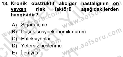 Yaşlılarda Görülebilecek Sorunlar Ve Bakım Hizmetleri Dersi 2025 - 2026 Yılı Yaz Okulu Sınav Soruları 13. Soru