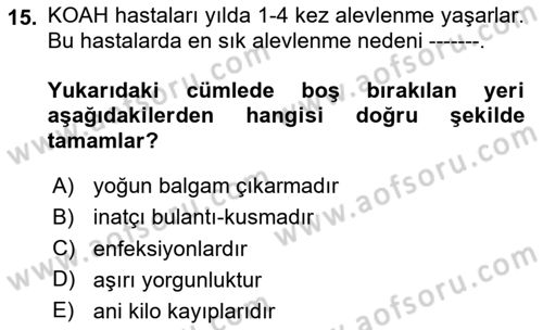 Yaşlılarda Görülebilecek Sorunlar Ve Bakım Hizmetleri Dersi 2025 - 2026 Yılı Yaz Okulu Sınav Soruları 15. Soru