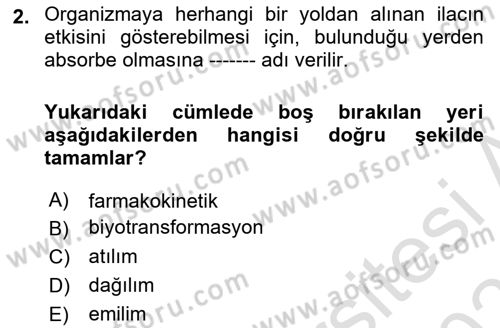 Yaşlılarda Görülebilecek Sorunlar Ve Bakım Hizmetleri Dersi 2025 - 2026 Yılı Yaz Okulu Sınav Soruları 2. Soru