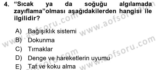 Psiko-Sosyal Rehabilitasyon Dersi 2016 - 2017 Yılı 3 Ders Sınav Soruları 4. Soru