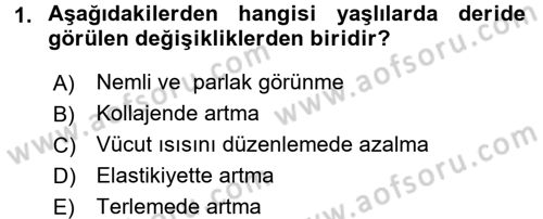 Psiko-Sosyal Rehabilitasyon Dersi 2016 - 2017 Yılı (Vize) Ara Sınav Soruları 1. Soru