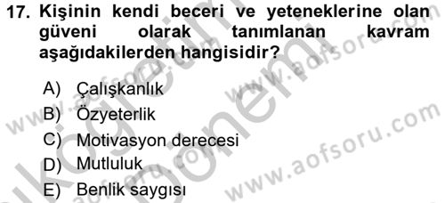 Psiko-Sosyal Rehabilitasyon Dersi 2016 - 2017 Yılı (Vize) Ara Sınav Soruları 17. Soru
