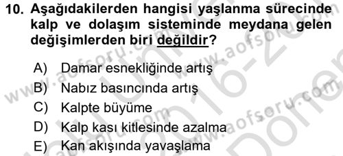 Psiko-Sosyal Rehabilitasyon Dersi 2016 - 2017 Yılı (Final) Dönem Sonu Sınav Soruları 10. Soru