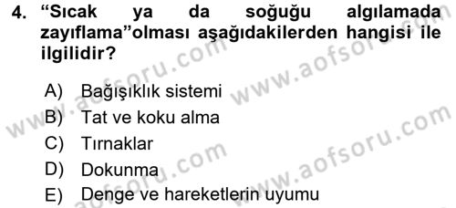 Psiko-Sosyal Rehabilitasyon Dersi 2016 - 2017 Yılı (Final) Dönem Sonu Sınav Soruları 4. Soru