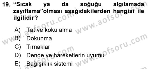 Psiko-Sosyal Rehabilitasyon Dersi 2018 - 2019 Yılı 3 Ders Sınav Soruları 19. Soru