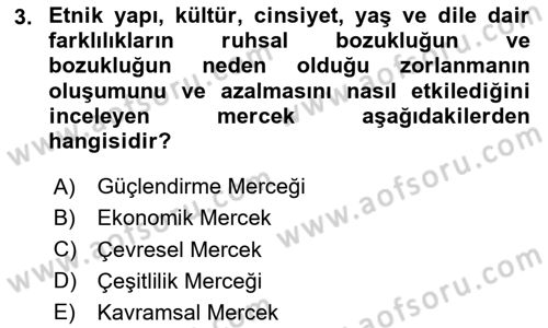 Psiko-Sosyal Rehabilitasyon Dersi 2020 - 2021 Yılı Yaz Okulu Sınav Soruları 3. Soru