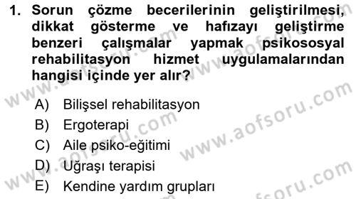 Psiko-Sosyal Rehabilitasyon Dersi 2023 - 2024 Yılı Yaz Okulu Sınav Soruları 1. Soru