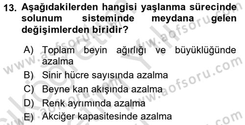Psiko-Sosyal Rehabilitasyon Dersi 2023 - 2024 Yılı Yaz Okulu Sınav Soruları 13. Soru