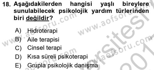 Yaşlı Psikolojisi Dersi 2016 - 2017 Yılı 3 Ders Sınavı 18. Soru