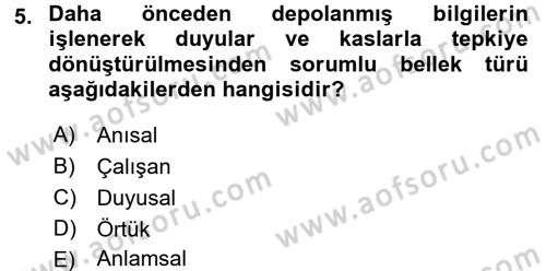 Yaşlı Psikolojisi Dersi 2017 - 2018 Yılı (Final) Dönem Sonu Sınavı 5. Soru