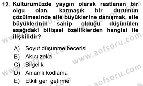 Yaşlı Psikolojisi Dersi 2018 - 2019 Yılı 3 Ders Sınav Soruları 12. Soru