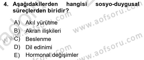Yaşlı Psikolojisi Dersi 2018 - 2019 Yılı 3 Ders Sınav Soruları 4. Soru