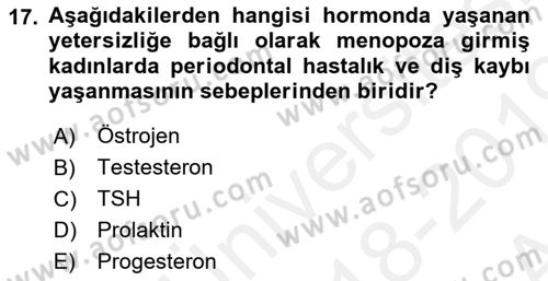 Yaşlı Psikolojisi Dersi 2018 - 2019 Yılı (Vize) Ara Sınav Soruları 17. Soru