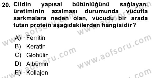 Yaşlı Psikolojisi Dersi 2018 - 2019 Yılı (Vize) Ara Sınav Soruları 20. Soru