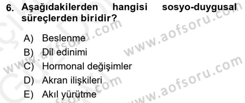Yaşlı Psikolojisi Dersi 2018 - 2019 Yılı (Vize) Ara Sınav Soruları 6. Soru