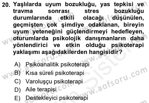 Yaşlı Psikolojisi Dersi 2018 - 2019 Yılı (Final) Dönem Sonu Sınav Soruları 20. Soru