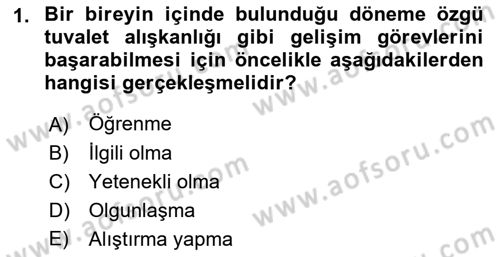 Yaşlı Psikolojisi Dersi 2018 - 2019 Yılı Yaz Okulu Sınav Soruları 1. Soru