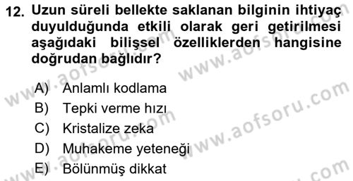 Yaşlı Psikolojisi Dersi 2018 - 2019 Yılı Yaz Okulu Sınav Soruları 12. Soru
