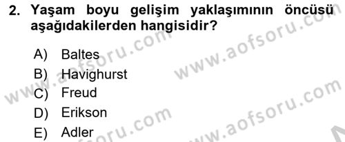 Yaşlı Psikolojisi Dersi 2018 - 2019 Yılı Yaz Okulu Sınav Soruları 2. Soru