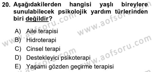 Yaşlı Psikolojisi Dersi 2018 - 2019 Yılı Yaz Okulu Sınav Soruları 20. Soru