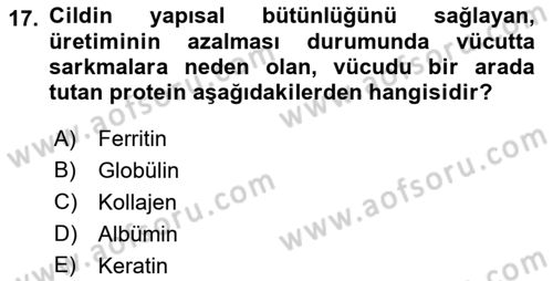Yaşlı Psikolojisi Dersi 2019 - 2020 Yılı (Vize) Ara Sınav Soruları 17. Soru
