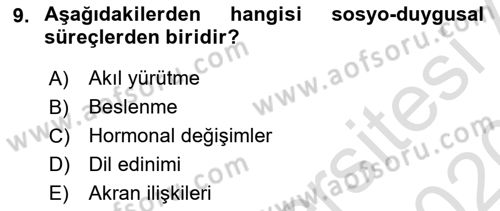 Yaşlı Psikolojisi Dersi 2019 - 2020 Yılı (Vize) Ara Sınav Soruları 9. Soru