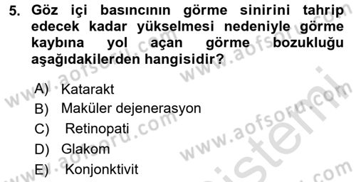 Yaşlı Psikolojisi Dersi 2020 - 2021 Yılı Yaz Okulu Sınav Soruları 5. Soru