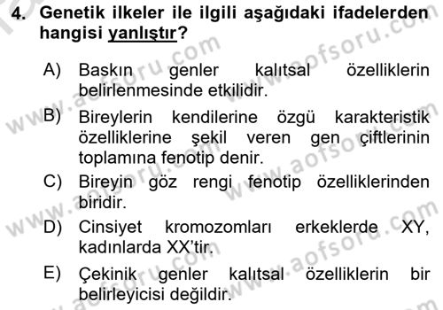 Yaşlı Psikolojisi Dersi 2021 - 2022 Yılı (Vize) Ara Sınav Soruları 4. Soru