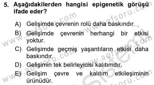 Yaşlı Psikolojisi Dersi 2021 - 2022 Yılı (Vize) Ara Sınav Soruları 5. Soru