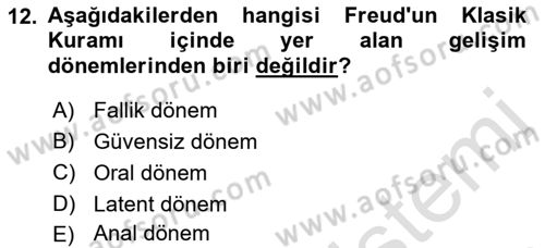 Yaşlı Psikolojisi Dersi 2021 - 2022 Yılı Yaz Okulu Sınav Soruları 12. Soru
